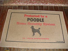 CCTV Security Systems